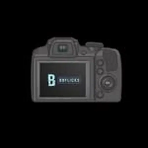 @bbflicks profile image
