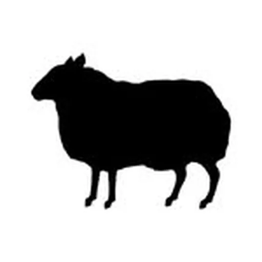 @bbhblacksheep profile image