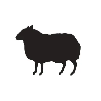 @bbhusa profile image