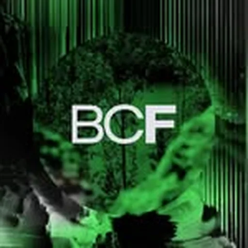@bc_festival profile image