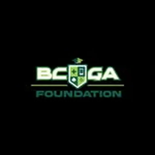 @bcgausa profile image