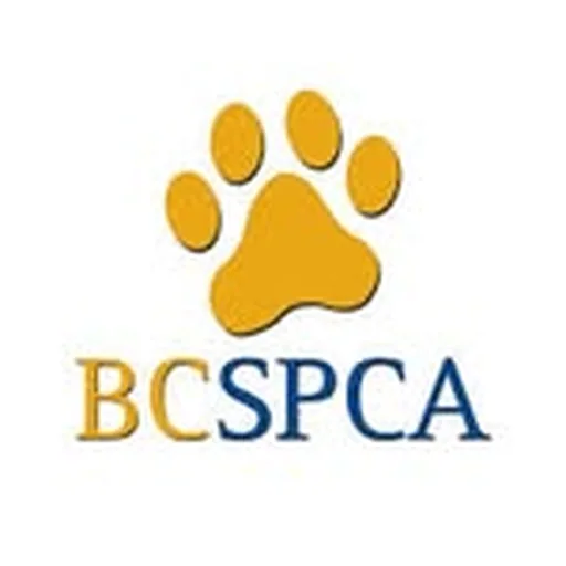 @bcspca profile image