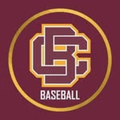@bcudiamondcats profile image
