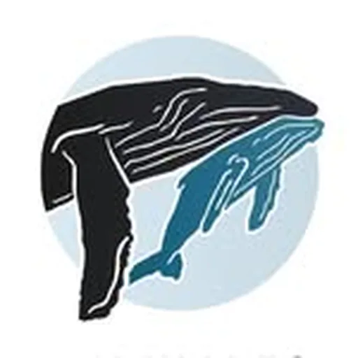 @bcwhales profile image