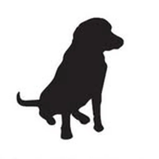 @bdlev profile image