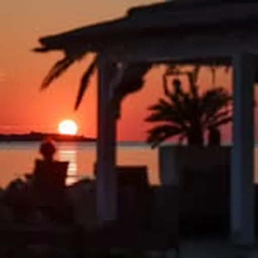 @beachbarsol profile image