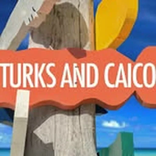 @beachesturks profile image