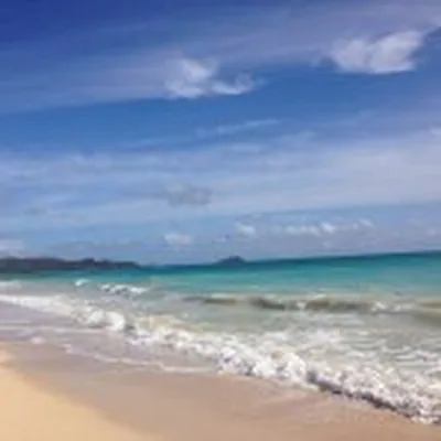 @beachhousehawaii profile image