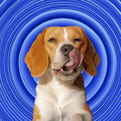 @beaglelego profile image