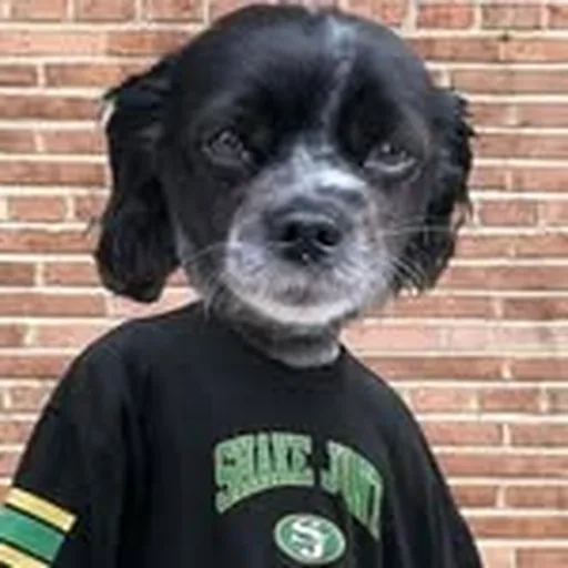 @beagleoneism profile image