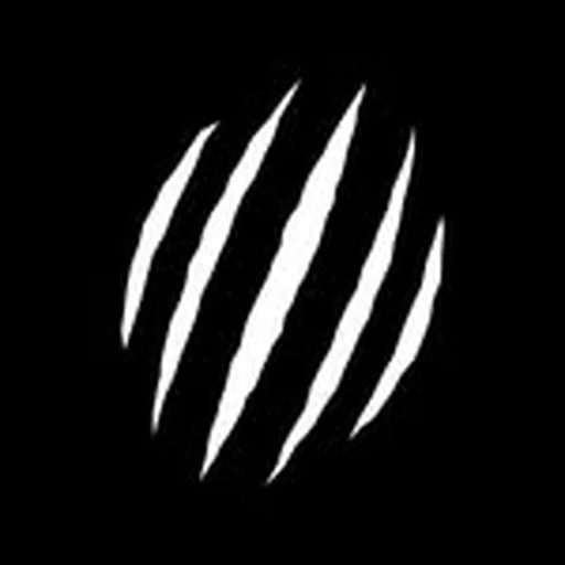@bearkomplex profile image