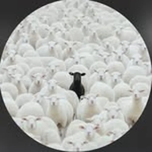 @beast4evapaid_ profile image