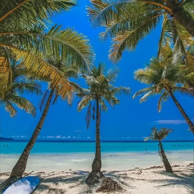 @beautiful___travel profile image