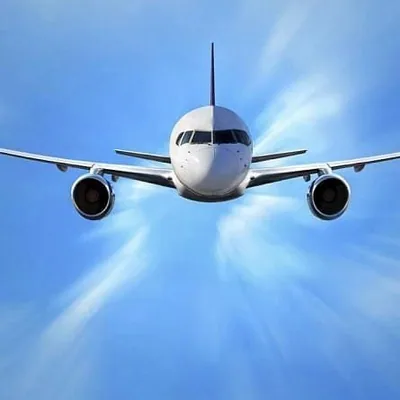 @beautifull_cabincrews profile image
