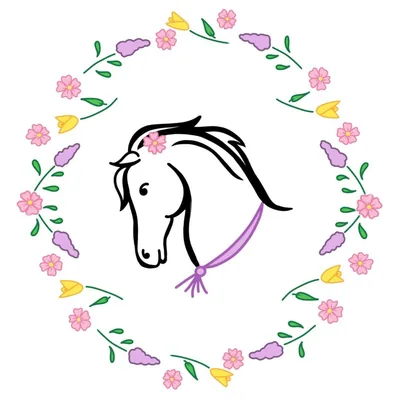 @beaux_equestrian profile image