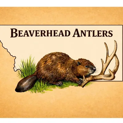 @beaverhead_antlers profile image