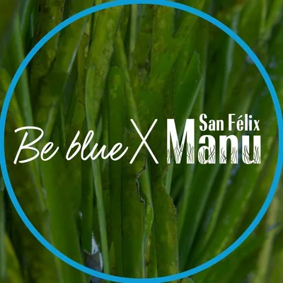 @bebluebalear profile image