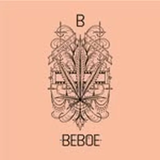 @beboefamily profile image