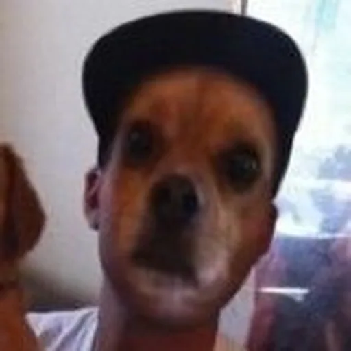 @beer_run profile image