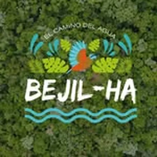@bejilha profile image