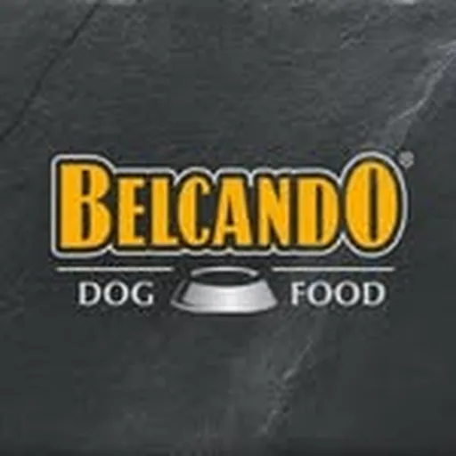 @belcando_de profile image