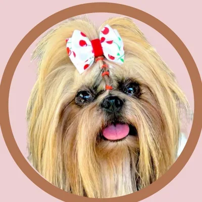 @bella_01.09 profile image