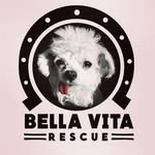 @bellavitarescue profile image