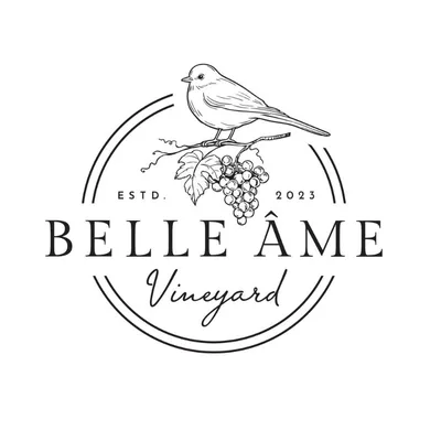 @belleame.estate profile image