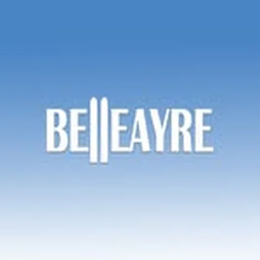 @belleayre profile image