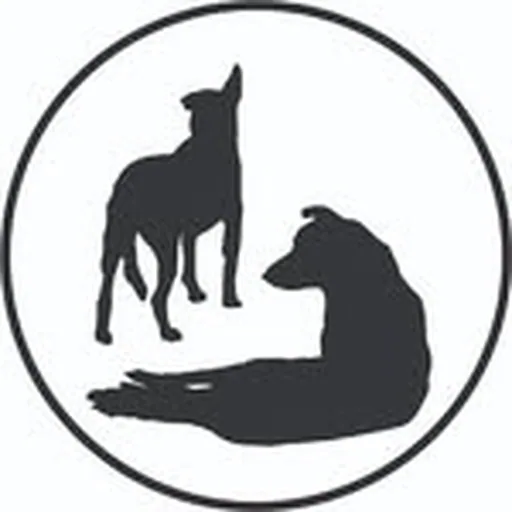 @beltrame_mgmt profile image