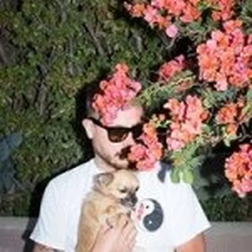 @ben_pier profile image