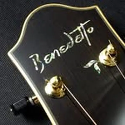 @benedetto_guitars profile image