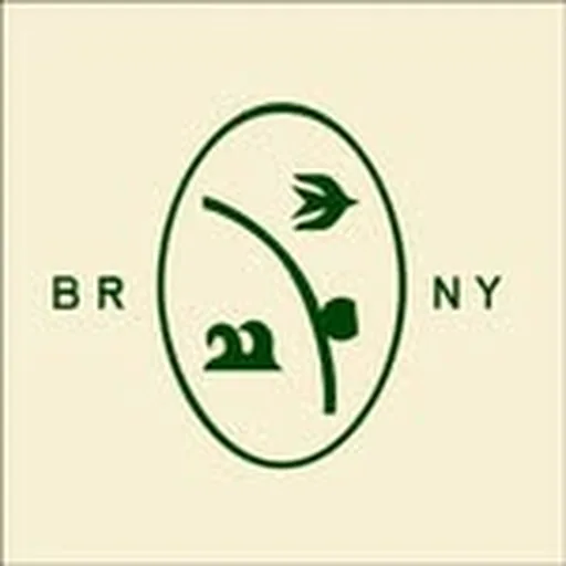 @berimbau_nyc profile image