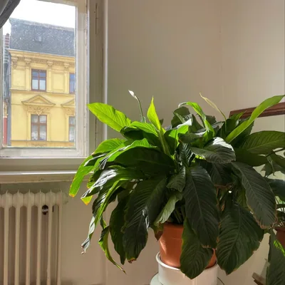 @berlin.altbau profile image