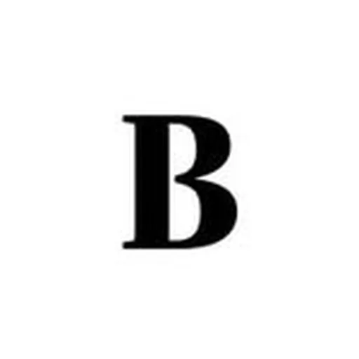 @berlingske profile image