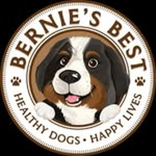 @bernies.best profile image