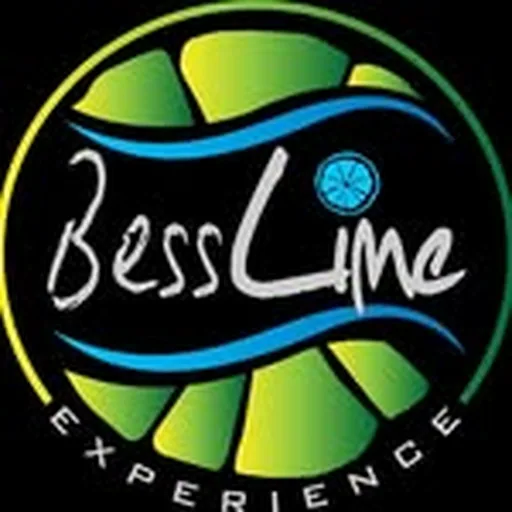 @besslime profile image