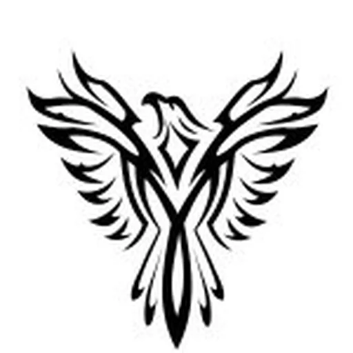 @best_birds_of_ig profile image