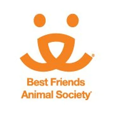 @bestfriends_enespanol profile image