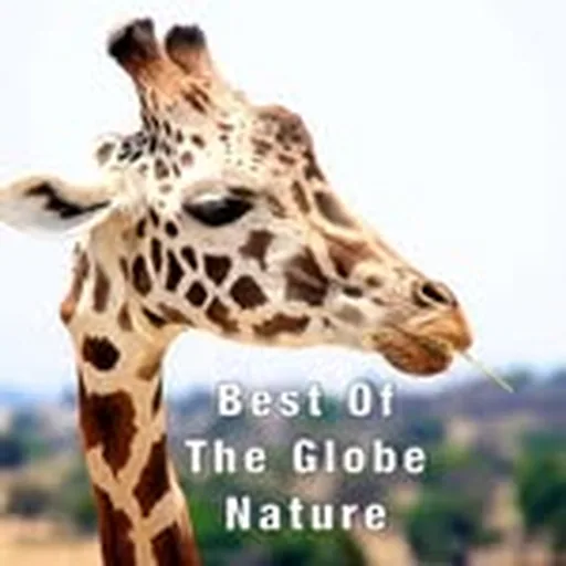 @bestoftheglobenature profile image