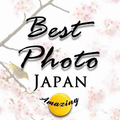 @bestphoto_japan profile image