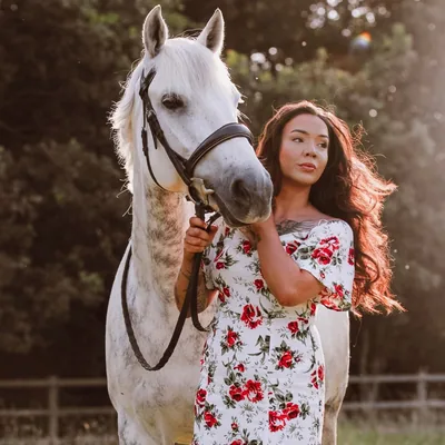 @bethsenequestrian profile image