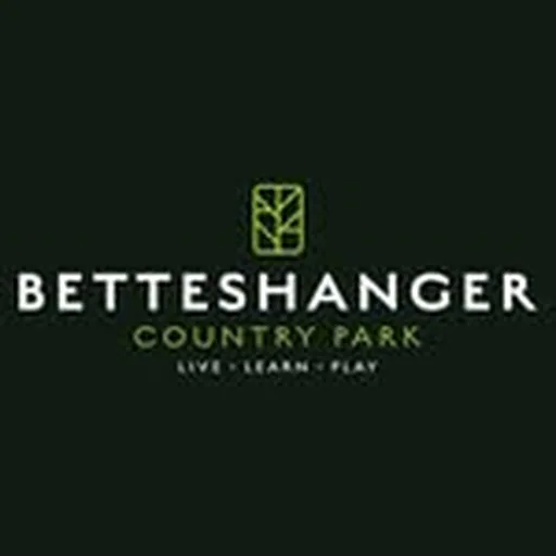 @betteshangerparks profile image