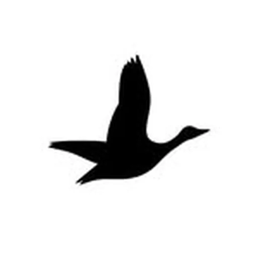 @beymenclub profile image