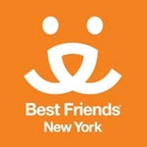 @bfas_ny profile image