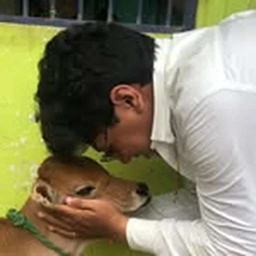 @bhaina_of_berhampur_satya profile image