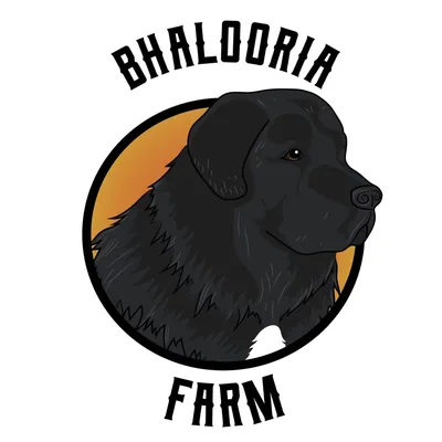 @bhalooria_farms profile image