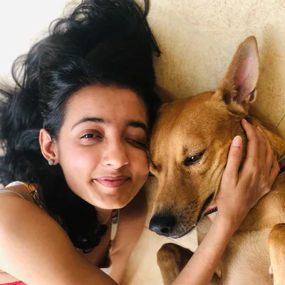@bhargsetusharma profile image