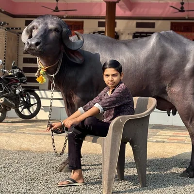 @bheshu_wala_007 profile image