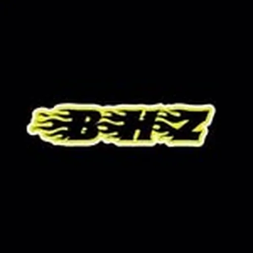 @bhz030 profile image